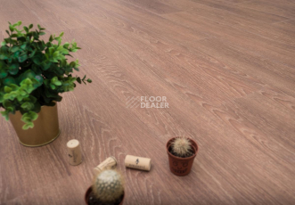 Ecoclick Wood  замковый 4.2мм NOX-1614 Дуб Арагон фото 3 | FLOORDEALER